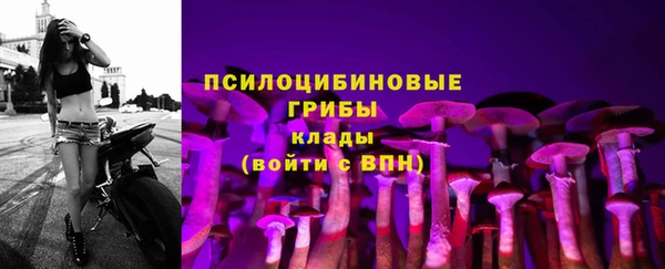 мяу мяу мука Аркадак