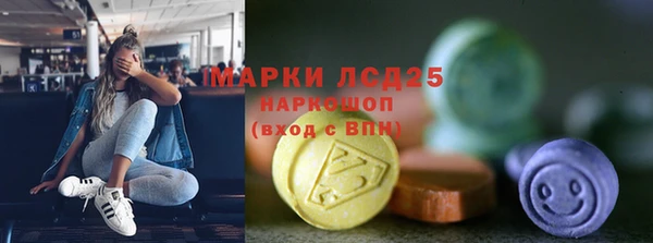 мяу мяу мука Аркадак