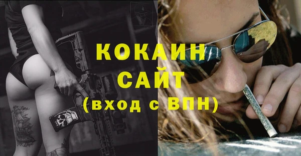 не бодяженный Арсеньев